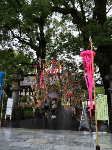 495 - July 7, (3) Dazaifu - Tenmangu