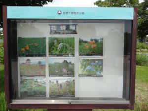 570 - July 8, (2) Yoshinogari Historical Park