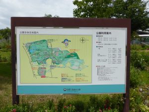 573 - July 8, (2) Yoshinogari Historical Park