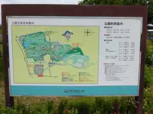574 - July 8, (2) Yoshinogari Historical Park