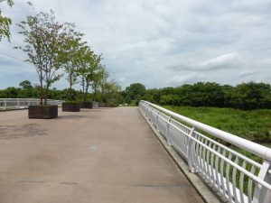 579 - July 8, (2) Yoshinogari Historical Park