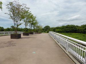 580 - July 8, (2) Yoshinogari Historical Park