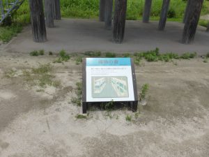 709 - July 8, (2) Yoshinogari Historical Park