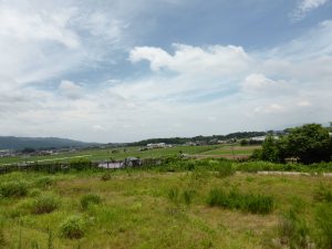 732 - July 8, (2) Yoshinogari Historical Park