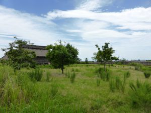 813 - July 8, (2) Yoshinogari Historical Park
