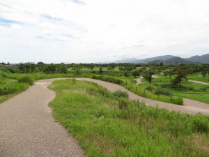 820 - July 8, (2) Yoshinogari Historical Park