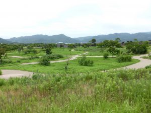 827 - July 8, (2) Yoshinogari Historical Park