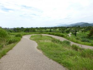 828 - July 8, (2) Yoshinogari Historical Park