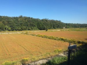 October 18, 2014 - (1) Train from Nagoya to Kanazawa 038
