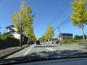 October 18, 2014 - (2) Way from Kanazawa to Tojinbo 011