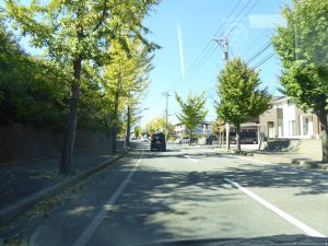October 18, 2014 - (2) Way from Kanazawa to Tojinbo 014