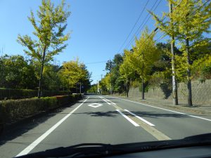October 18, 2014 - (2) Way from Kanazawa to Tojinbo 015