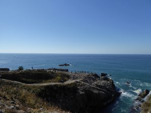 October 18, 2014 - (3) Tojinbo 011