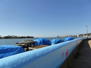 October 18, 2014 - (4) Way from Tojinbo to Mikuni 003
