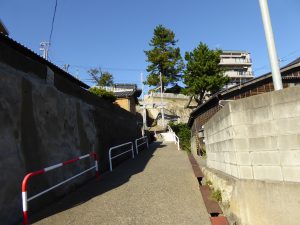 October 18, 2014 - (5) Mikuni 113