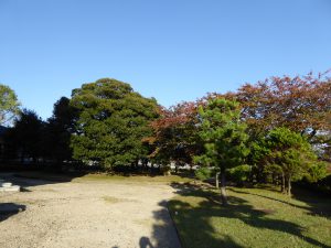 October 18, 2014 - (5) Mikuni 203