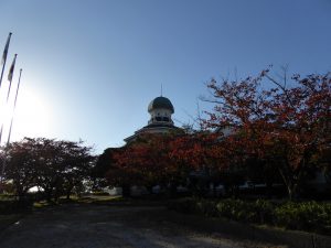 October 18, 2014 - (5) Mikuni 209