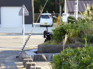 October 18, 2014 - (5) Mikuni 213