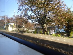 October 19, 2014 - (4) Nishigishi 115