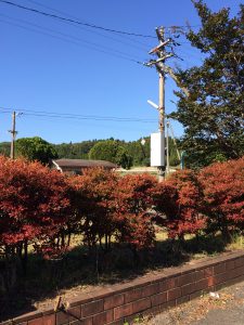 October 19, 2014 - (4) Nishigishi 139