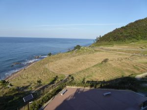 October 19, 2014 - (5) Senmaida 004