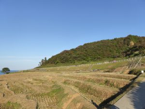 October 19, 2014 - (5) Senmaida 008