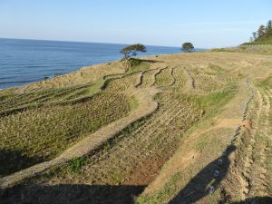 October 19, 2014 - (5) Senmaida 009