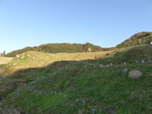 October 19, 2014 - (5) Senmaida 014