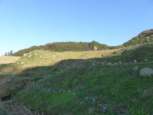 October 19, 2014 - (5) Senmaida 015