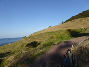 October 19, 2014 - (5) Senmaida 016