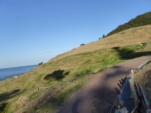 October 19, 2014 - (5) Senmaida 017