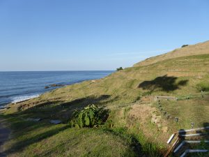 October 19, 2014 - (5) Senmaida 018