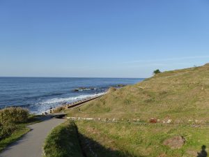 October 19, 2014 - (5) Senmaida 019