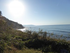 October 19, 2014 - (5) Senmaida 020