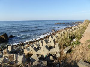 October 19, 2014 - (5) Senmaida 021