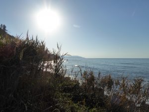 October 19, 2014 - (5) Senmaida 025