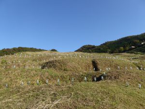 October 19, 2014 - (5) Senmaida 028