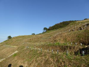 October 19, 2014 - (5) Senmaida 029
