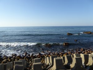 October 19, 2014 - (5) Senmaida 031