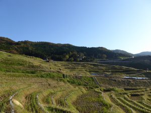 October 19, 2014 - (5) Senmaida 041
