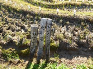 October 19, 2014 - (5) Senmaida 042