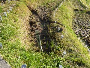 October 19, 2014 - (5) Senmaida 043
