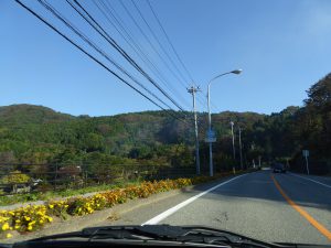 October 19, 2014 - (5) Way to Senmaida 001