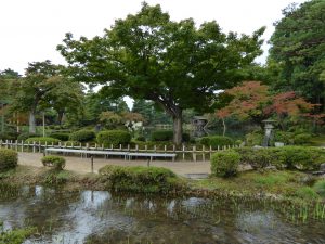 October 20, 2014 - (1) Kenrokuen Garden 014