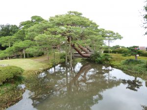 October 20, 2014 - (1) Kenrokuen Garden 019