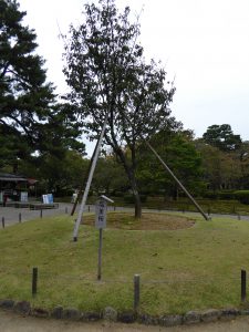 October 20, 2014 - (1) Kenrokuen Garden 022