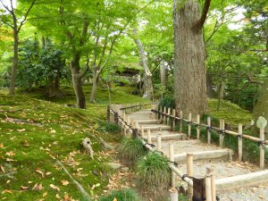 October 20, 2014 - (1) Kenrokuen Garden 044