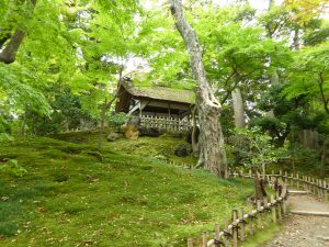 October 20, 2014 - (1) Kenrokuen Garden 047