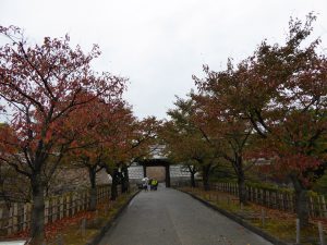 October 20, 2014 - (2) Kanazawa Castle Park 018