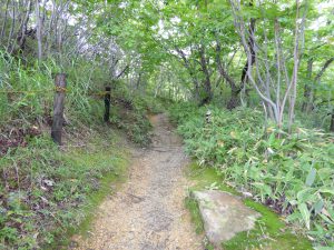 September 12, 2015 - (1) Shikotsu-Tōya National Park - 008
